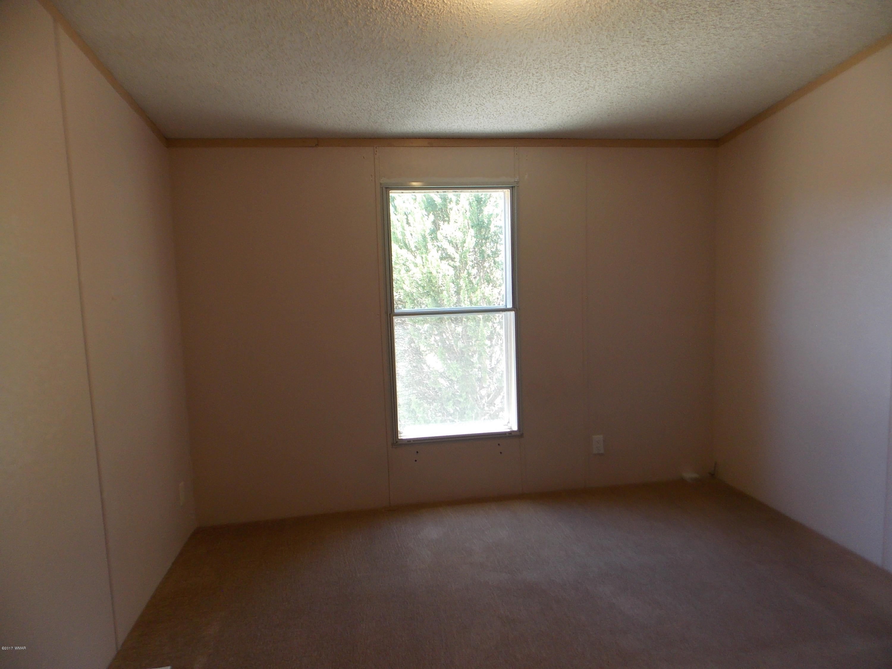 3554 Evergreen Drive Overgaard, AZ 85933 - Photo 13 of 19
