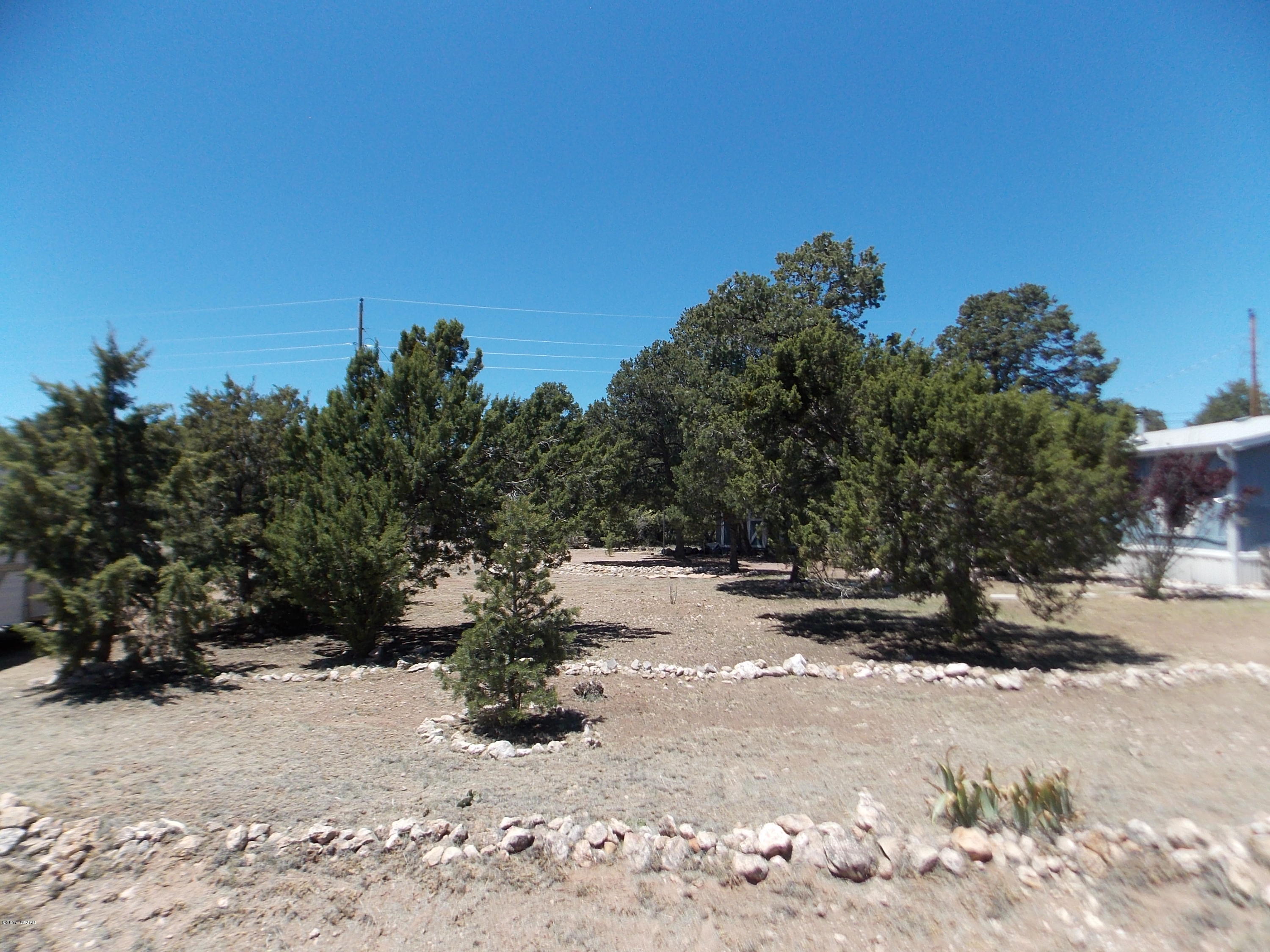 3554 Evergreen Drive Overgaard, AZ 85933 - Photo 14 of 19