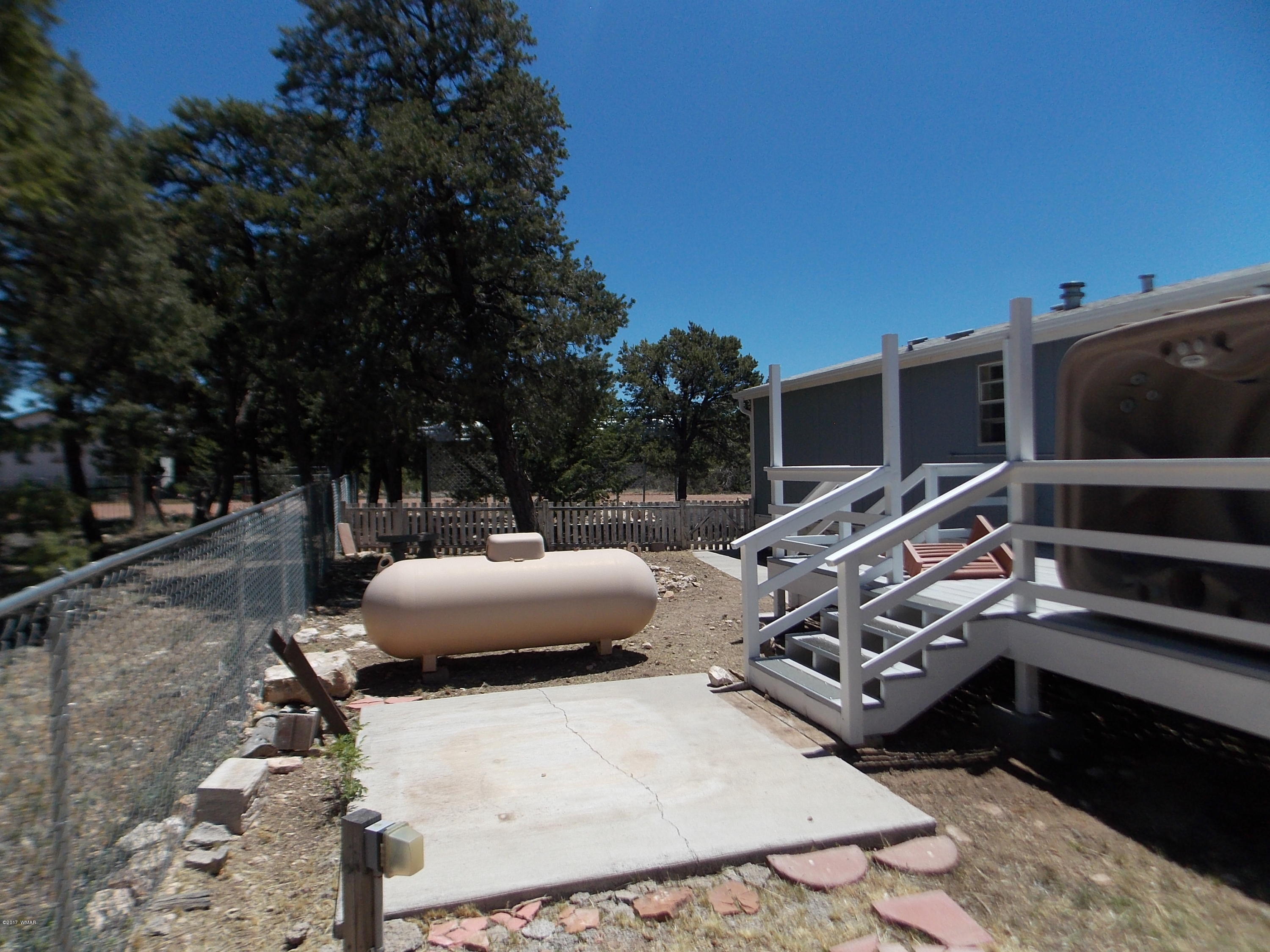 3554 Evergreen Drive Overgaard, AZ 85933 - Photo 19 of 19