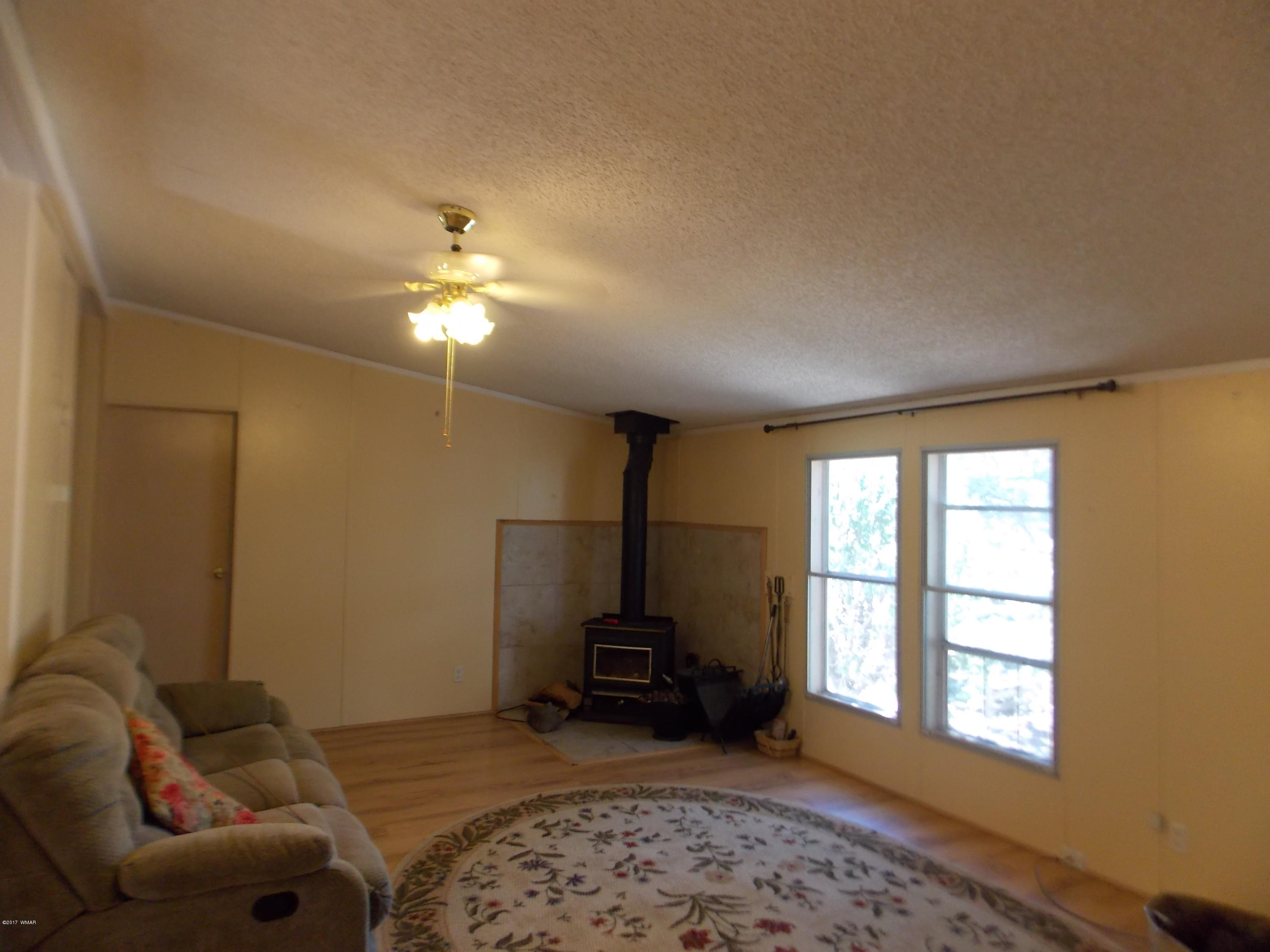 3554 Evergreen Drive Overgaard, AZ 85933 - Photo 5 of 19