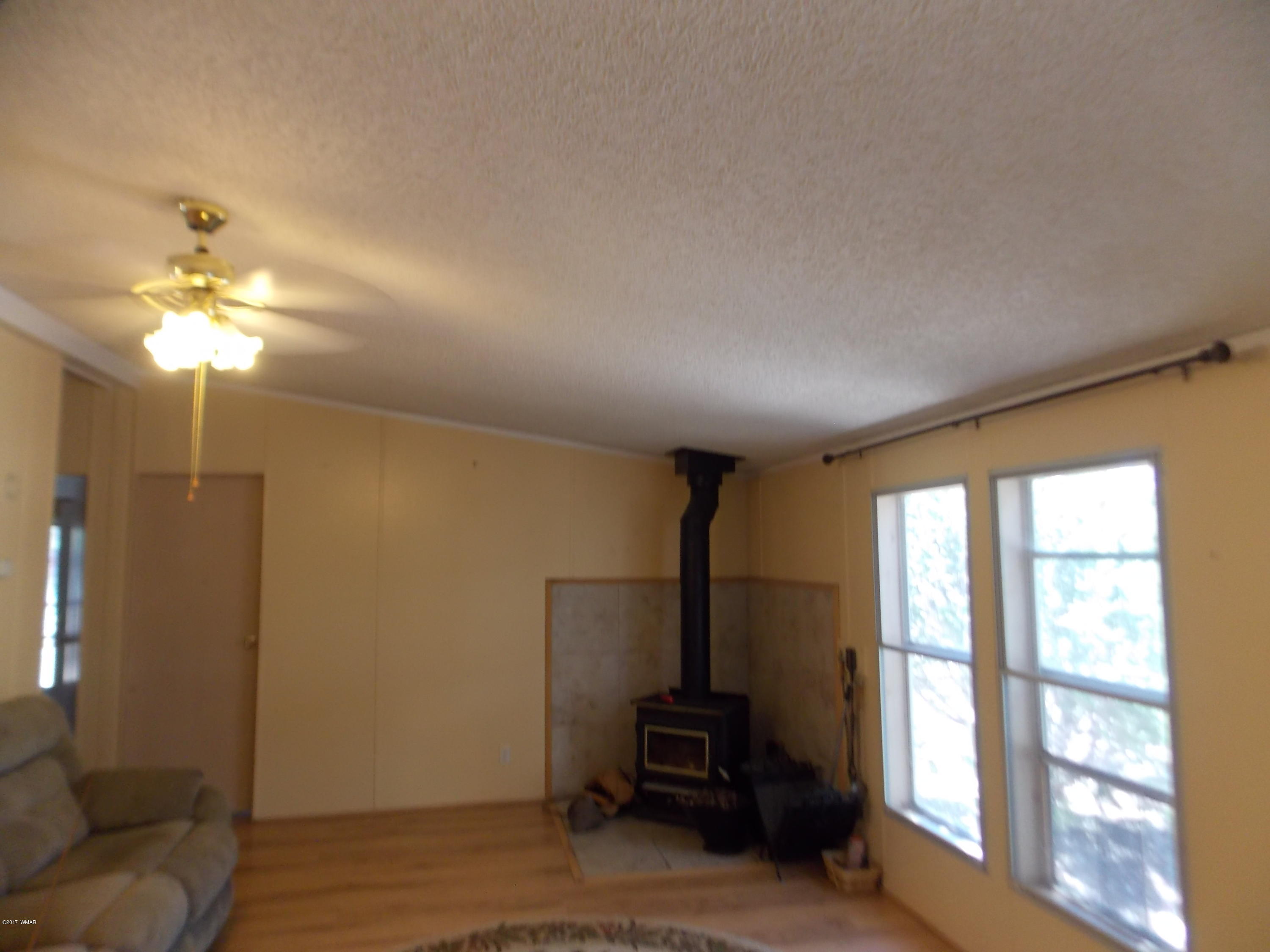 3554 Evergreen Drive Overgaard, AZ 85933 - Photo 8 of 19