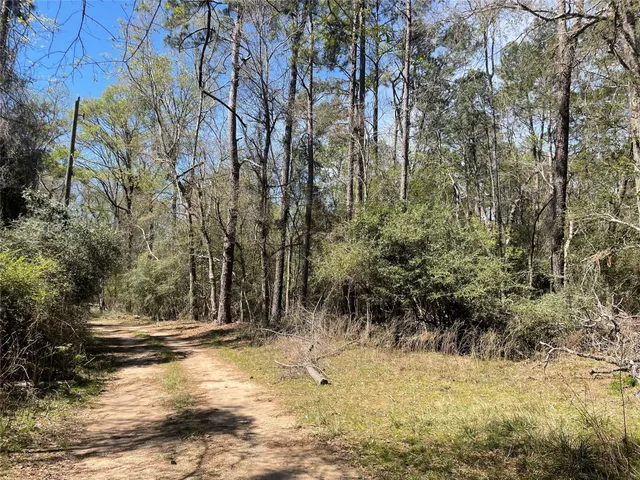 a view of yard covered with snow