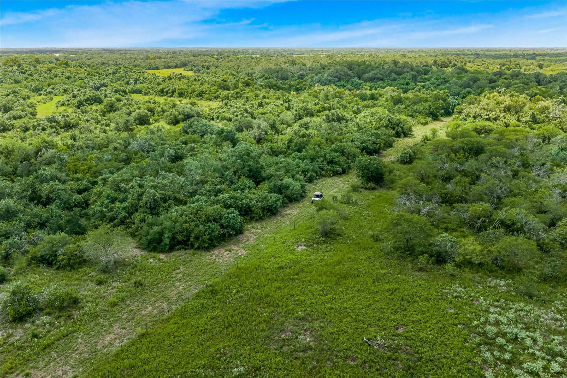 0 McGuill Road Goliad, TX 77963 - Photo 7 of 21 Gallery Image 7