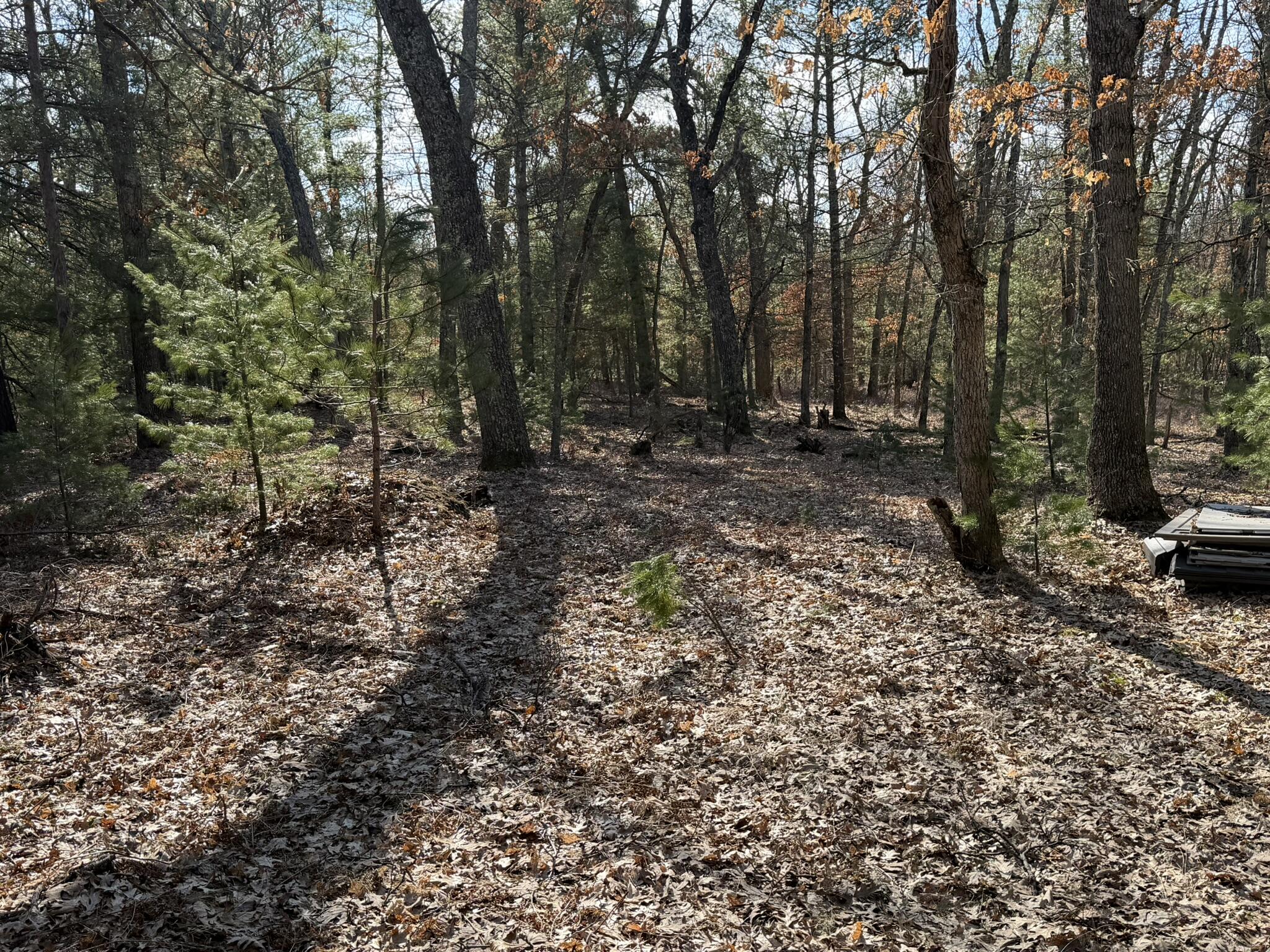 7363 Riverside Drive Manistee, MI 49660 - Photo 12 of 18 Facing south 4