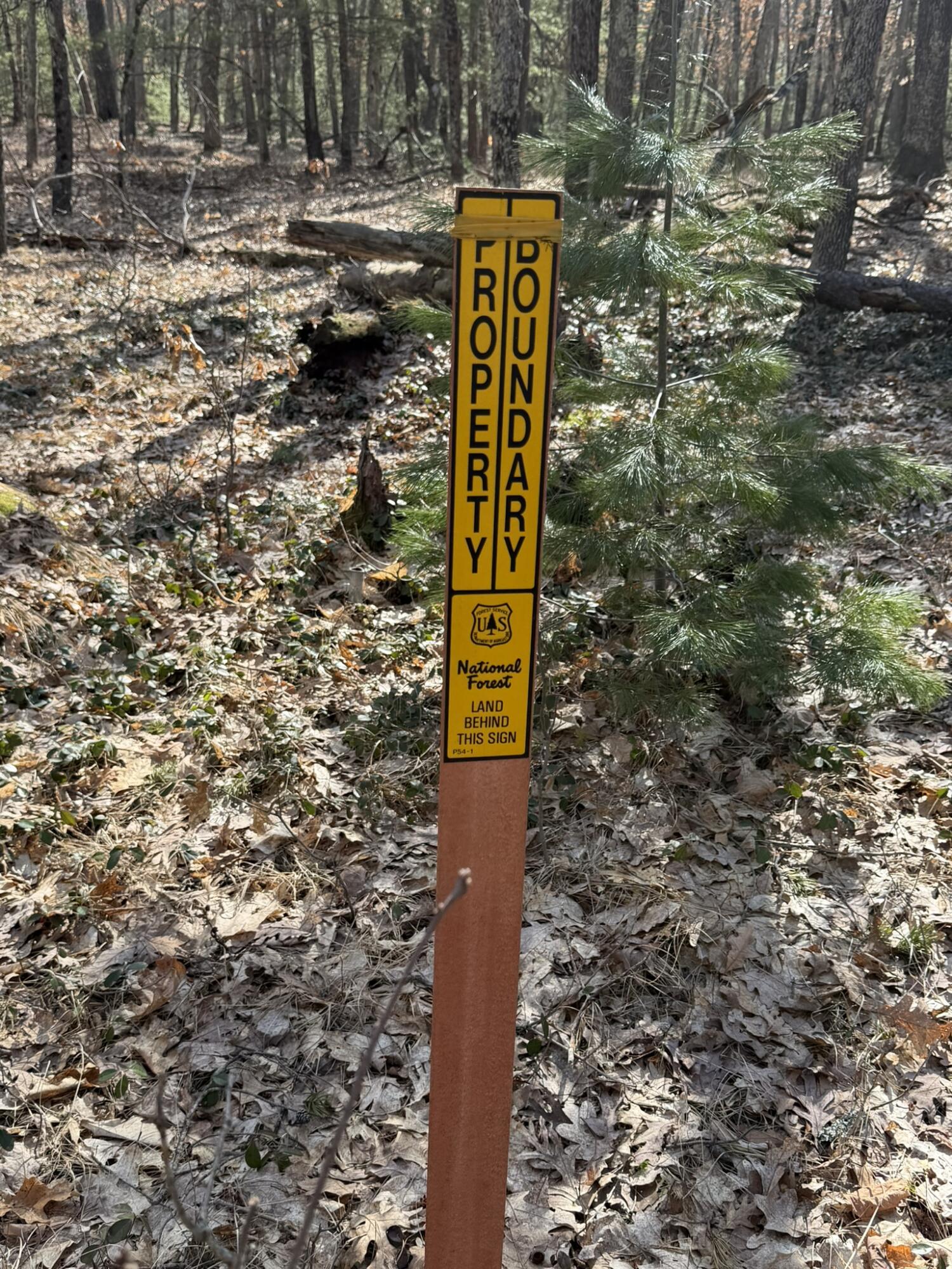 7363 Riverside Drive Manistee, MI 49660 - Photo 4 of 18 Southeast Border