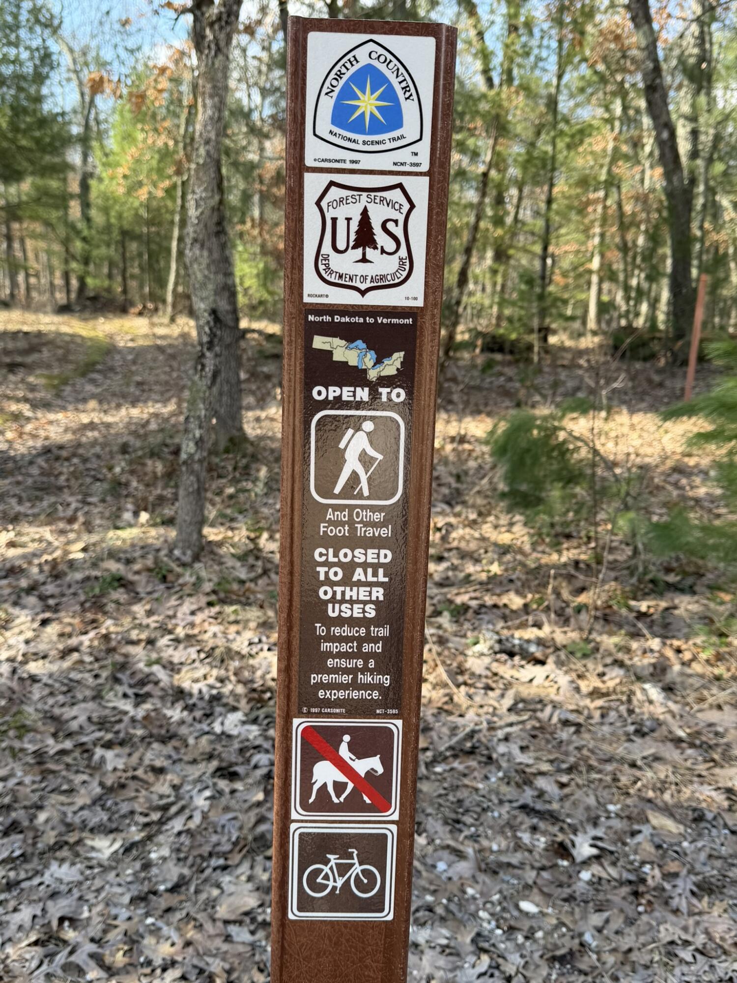 7363 Riverside Drive Manistee, MI 49660 - Photo 5 of 18 Forest Trail 1