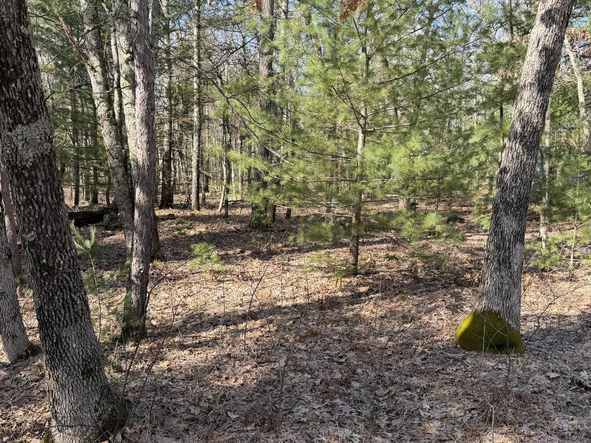 7363 Riverside Drive Manistee, MI 49660 - Photo 7 of 18 Facing south 1