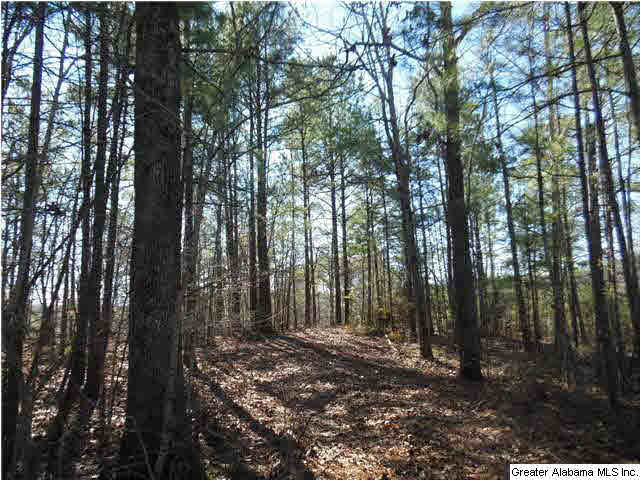 Heather Circle, Unit 1 Oneonta, AL 35121 - Photo 7 of 10