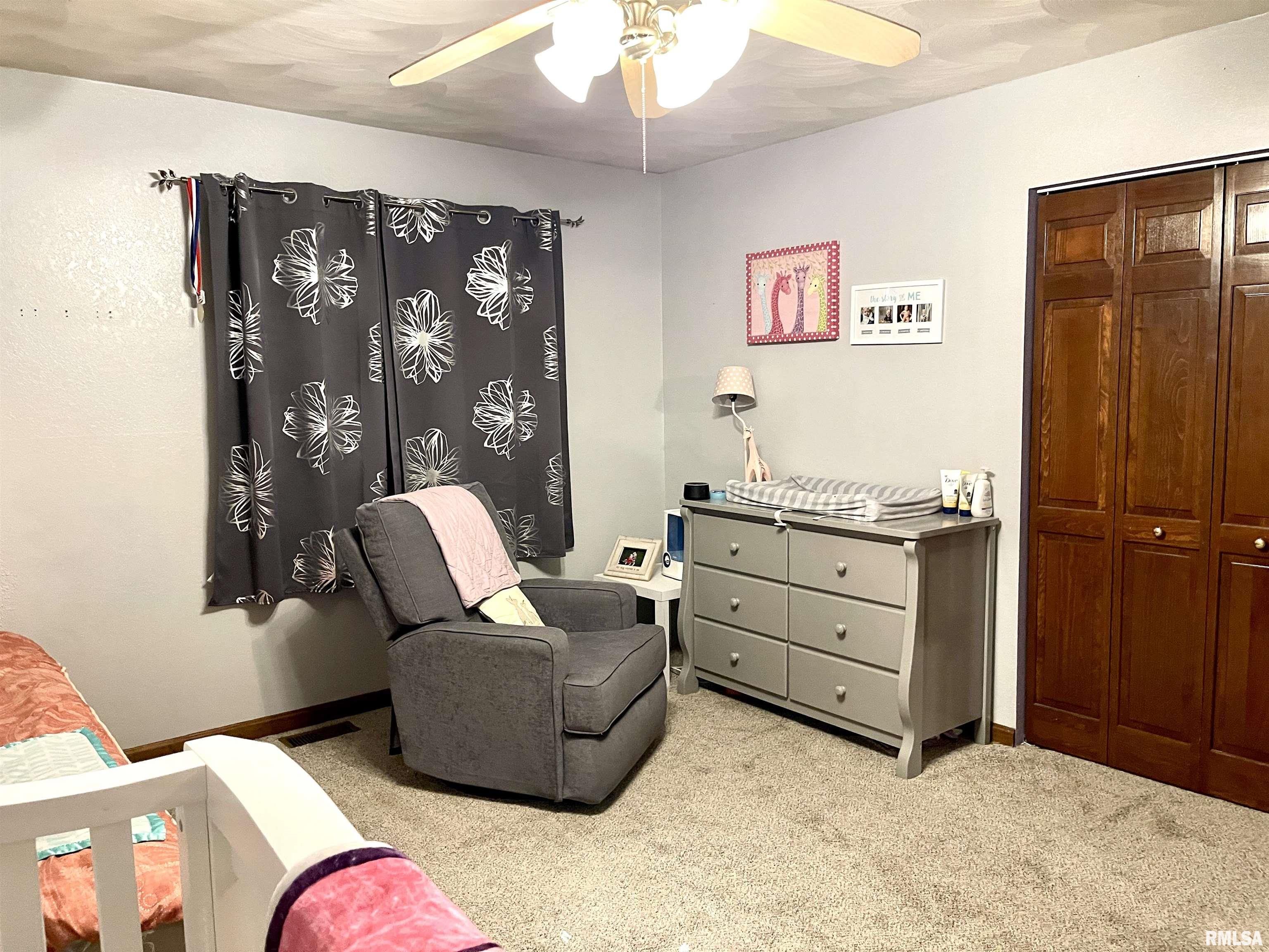 4629 Hotze Road Salem, IL 62881 - Photo 38 of 68