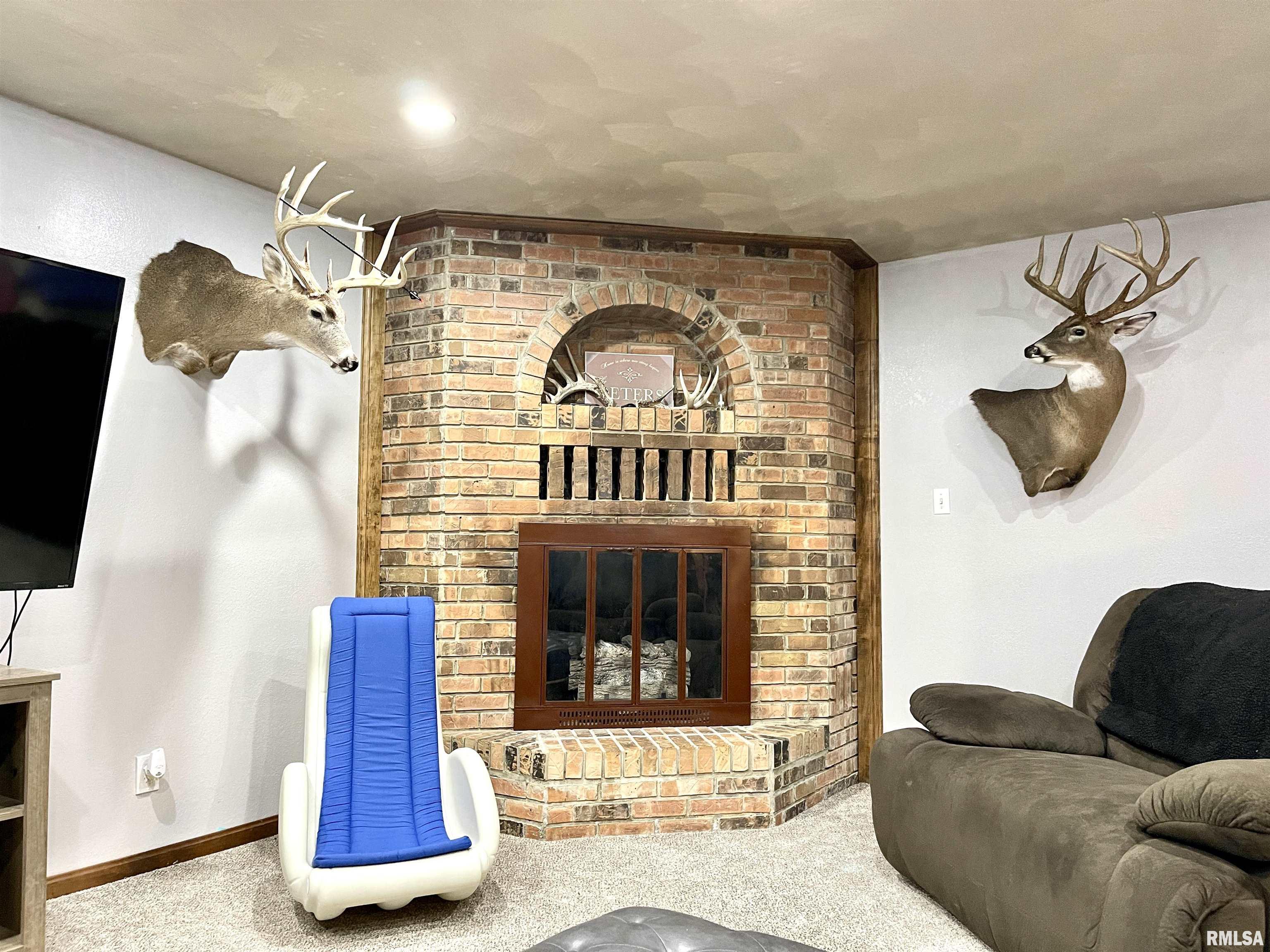 4629 Hotze Road Salem, IL 62881 - Photo 42 of 68