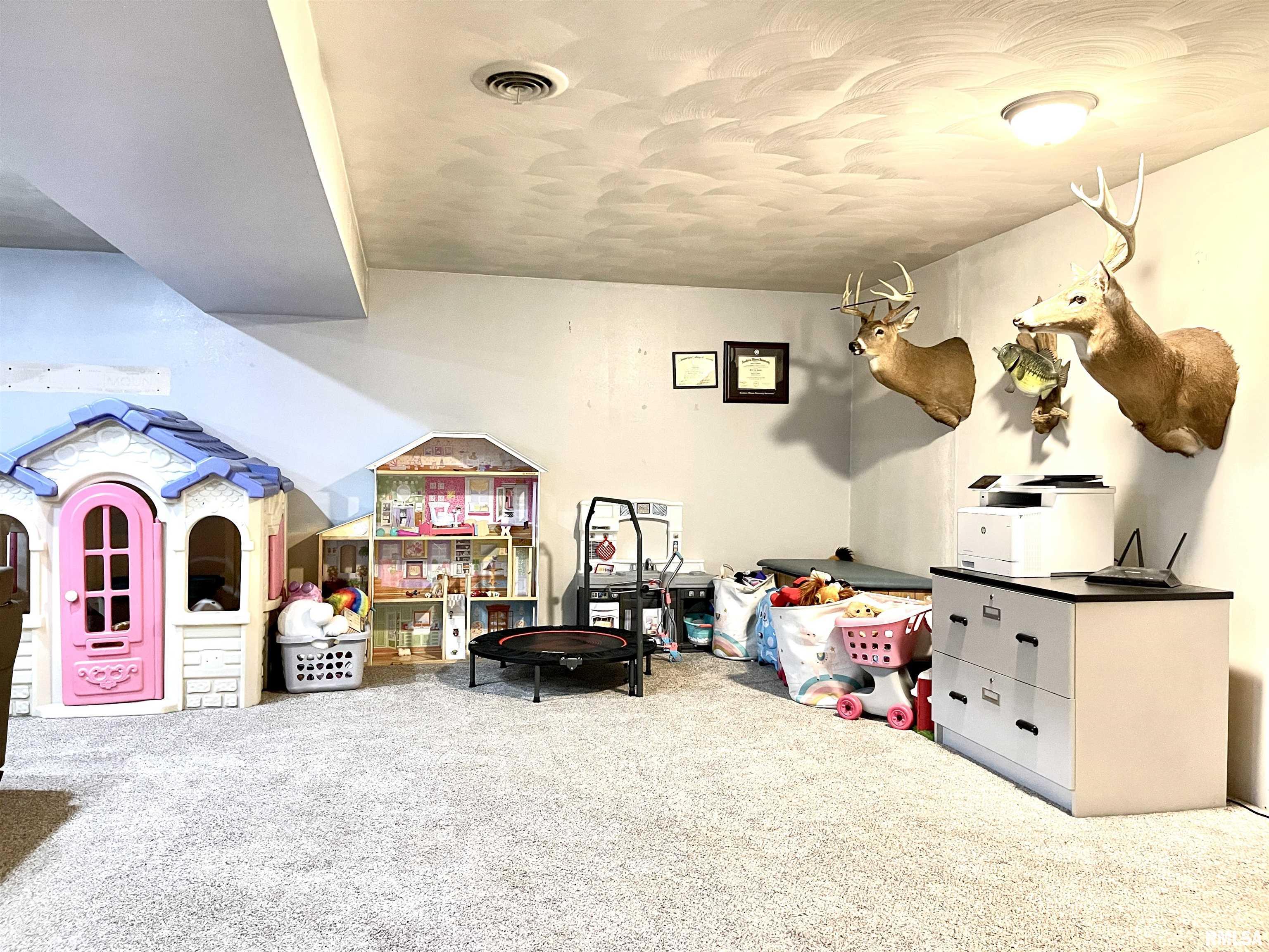 4629 Hotze Road Salem, IL 62881 - Photo 45 of 68