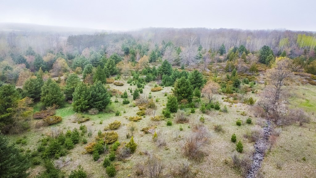 Lot 1 County Road Baileys Harbor, WI 54202 - Photo 2 of 9