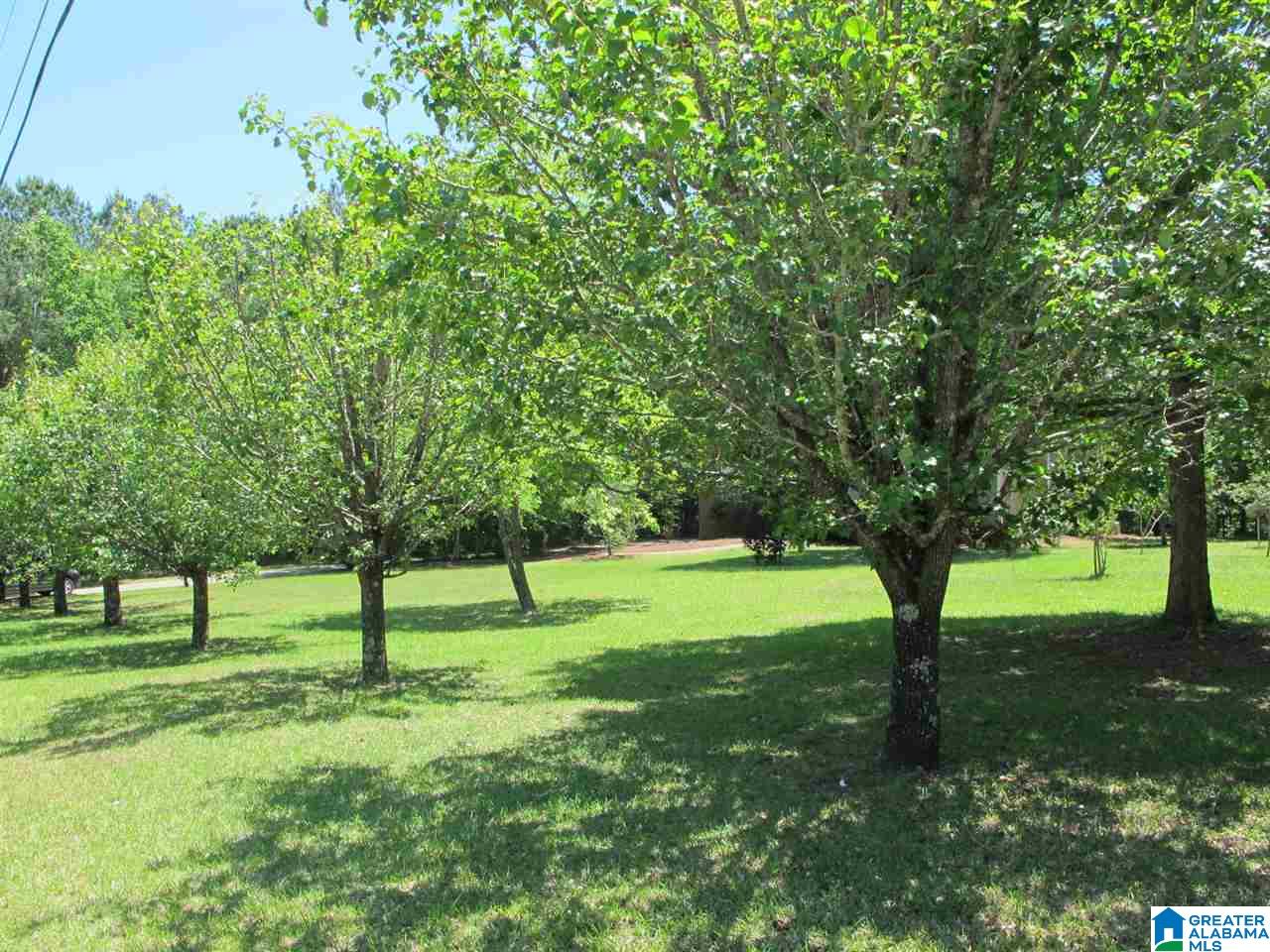 1214 Cedar Creek Road Odenville, AL 35120 - Photo 10 of 46