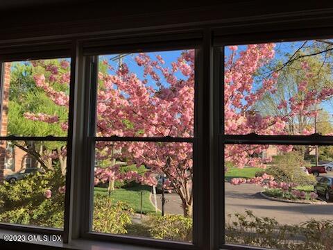 5 Putnam Hill, Unit 1F Greenwich, CT 06830 - Photo 6 of 18 a view of a back yard from a window