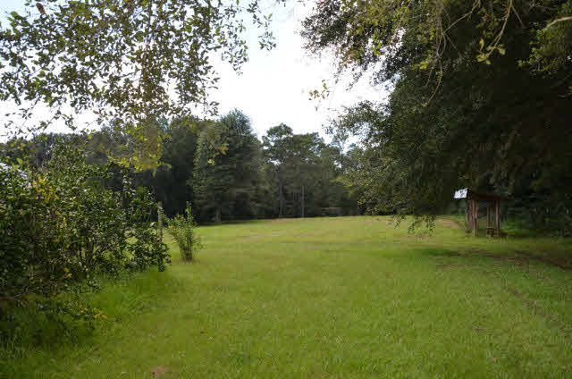 16533 Danne Road Fairhope, AL 36532 - Photo 40 of 41 Private Wooded Land