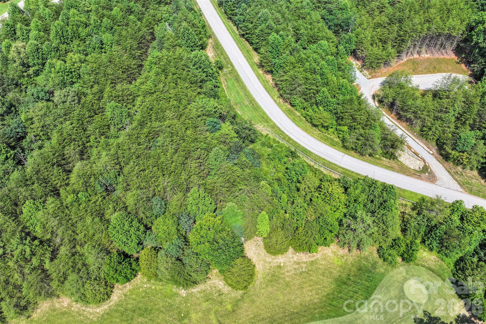 1361 Deep Gap Farm Road East Mill Spring, NC 28756 - Photo 10 of 23