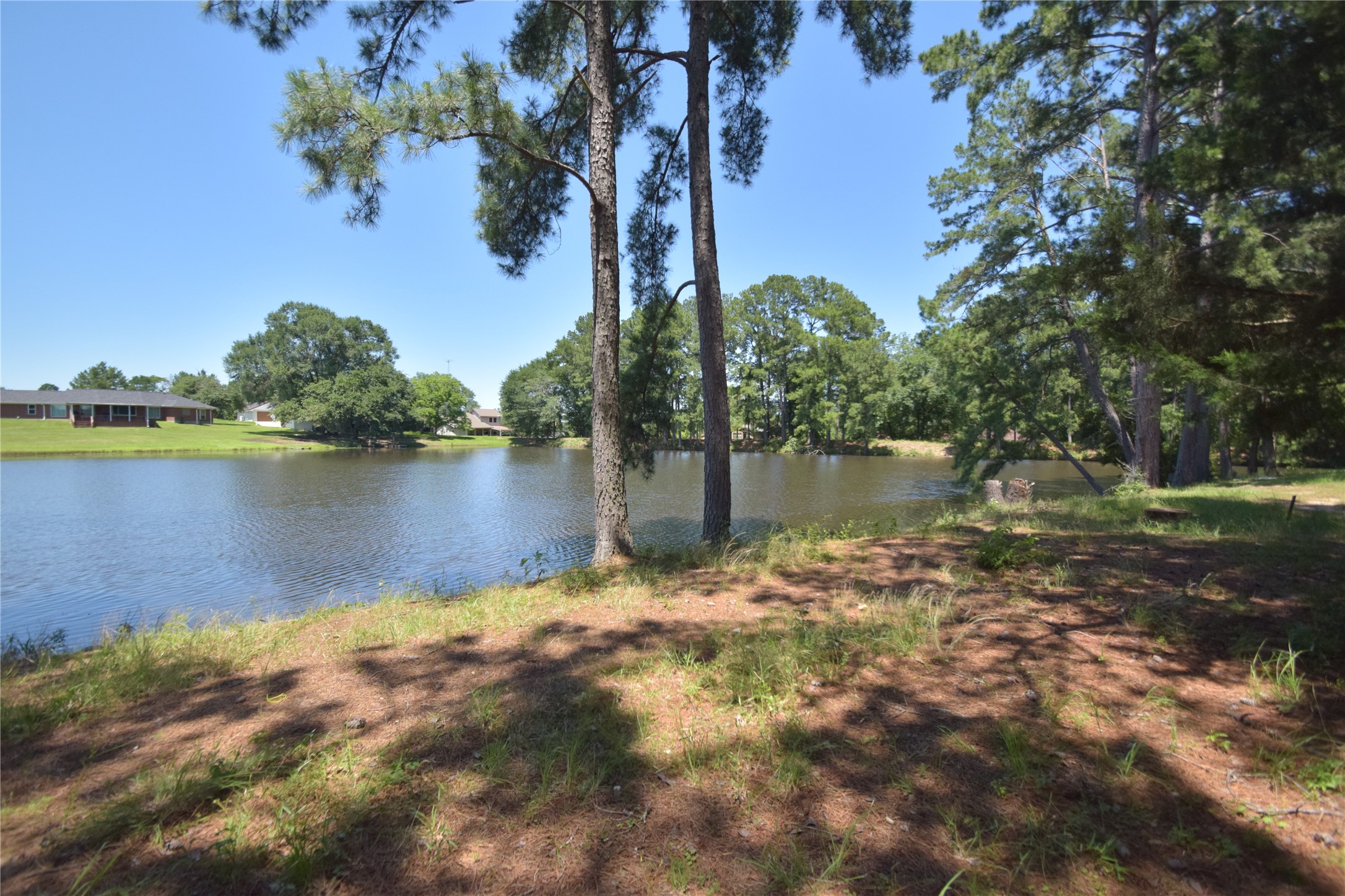 19 Blue Bonnet Drive Trinity, TX 75862 - Photo 3 of 50 Wake up to this every morning!