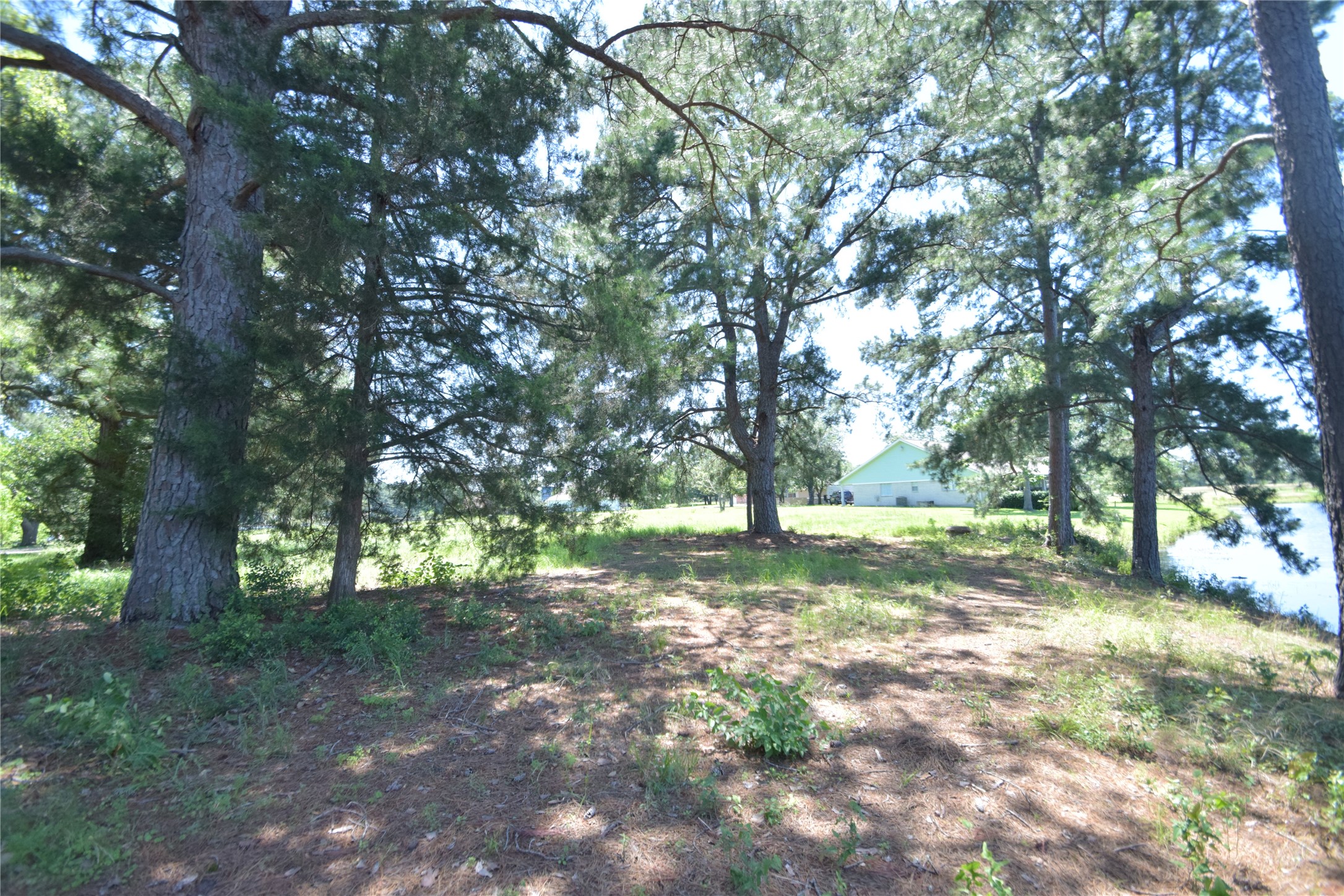 19 Blue Bonnet Drive Trinity, TX 75862 - Photo 48 of 50