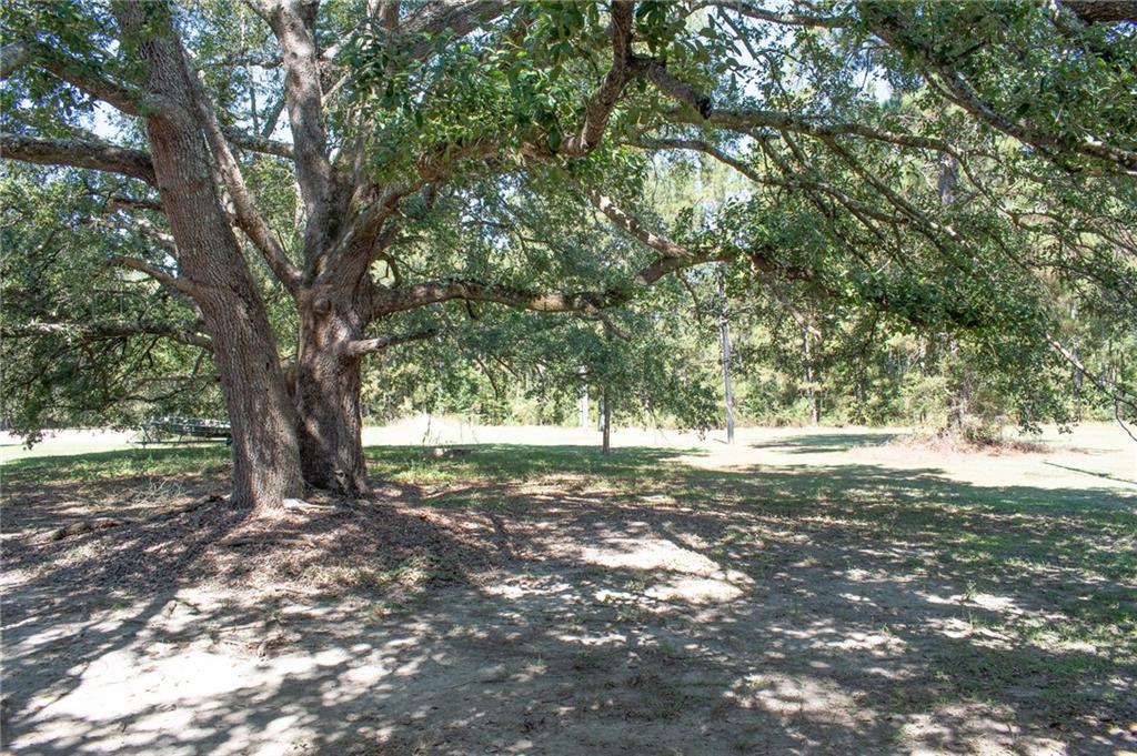 13225 Old Genessee Road, Unit 9 Tickfaw, LA 70466 - Photo 13 of 13