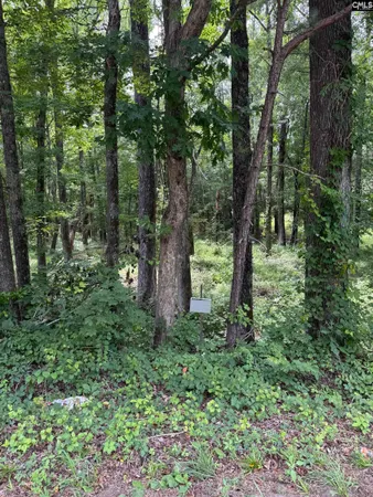 $55,000 | 1409 Mullis Road, Ridgeway, SC 29130