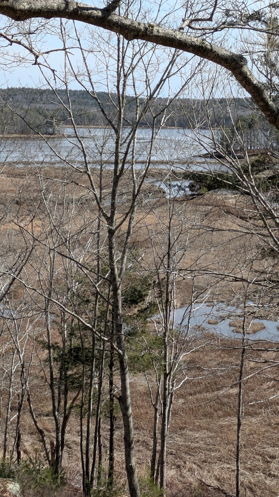 458 Bald Head Road Arrowsic, ME 04530 - Photo 5 of 39 PXL_20250322_163122409
