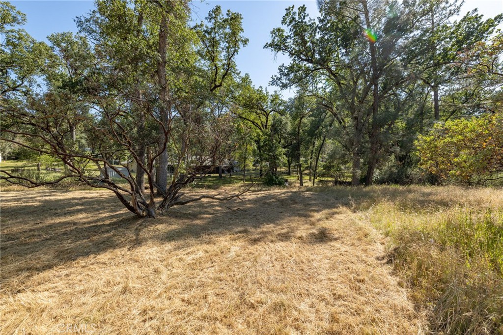 48866 Rock Point Road Oakhurst, CA 93644 - Photo 53 of 59