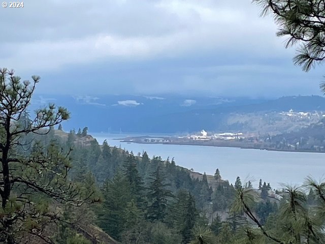 Asher Street, Unit 32 Mosier, OR 97040 - Photo 13 of 17 Gallery Image 13