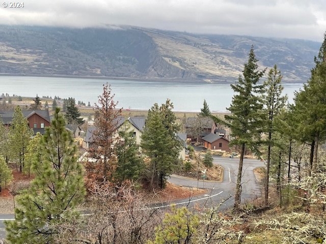 Asher Street, Unit 32 Mosier, OR 97040 - Photo 2 of 17 Gallery Image 2