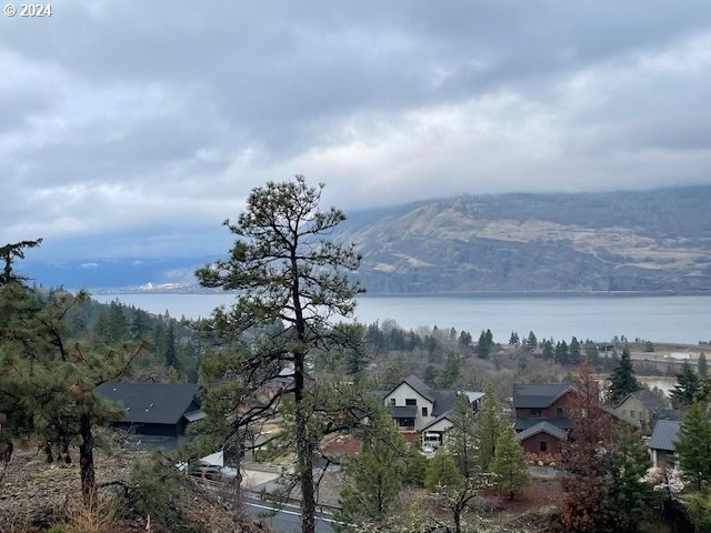 Asher Street, Unit 32 Mosier, OR 97040 - Photo 3 of 17 Gallery Image 3