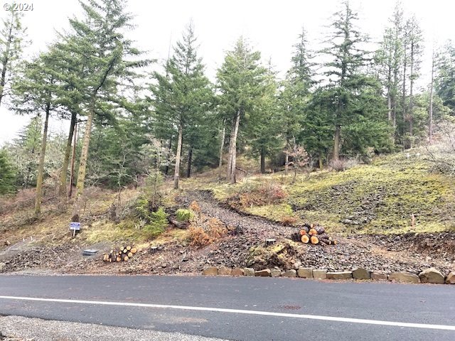 Asher Street, Unit 32 Mosier, OR 97040 - Photo 4 of 17 Gallery Image 4