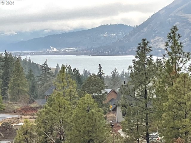 Asher Street, Unit 32 Mosier, OR 97040 - Photo 7 of 17 Gallery Image 7