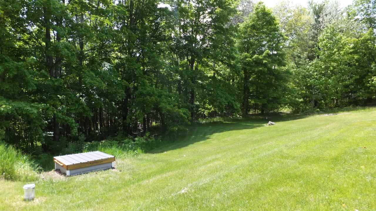 3818 North Reynolds Road Interlochen, MI 49643 - Photo 42 of 47 1833330-47.JPG