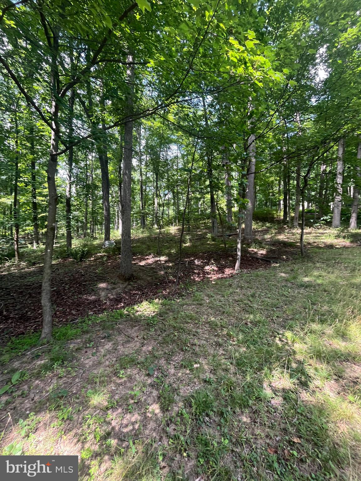 43 Seneca Ridge Road Great Cacapon, WV 25422 - Photo 4 of 32 Gallery Image 4