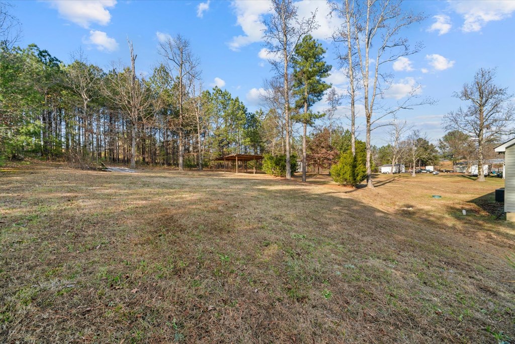 2498 Hyden Tyler Road Chatsworth, GA 30705 - Photo 37 of 48 Gallery Image 37