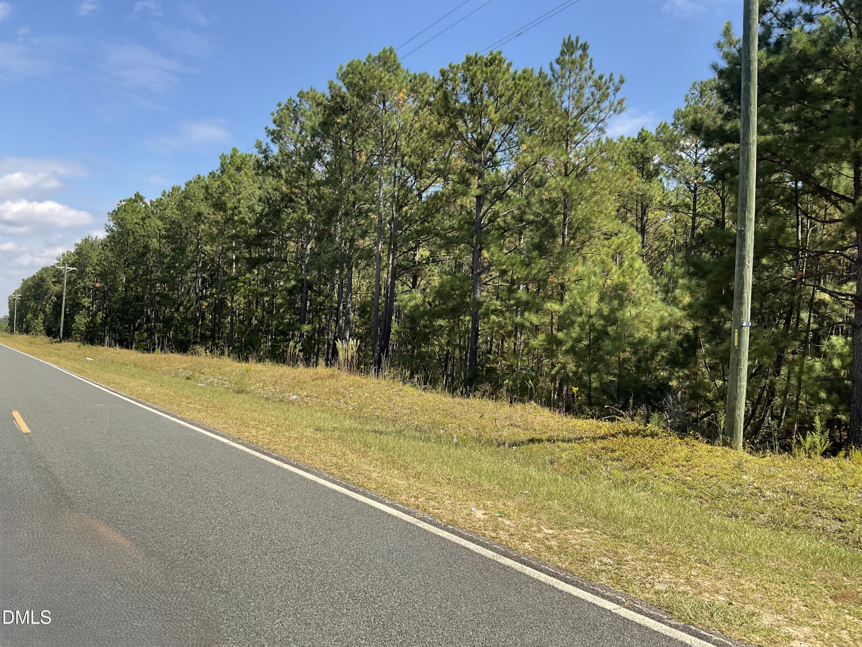 0 Sanderfer Road Bunnlevel, NC 28323 - Photo 6 of 9 a view of a yard with an outdoor space
