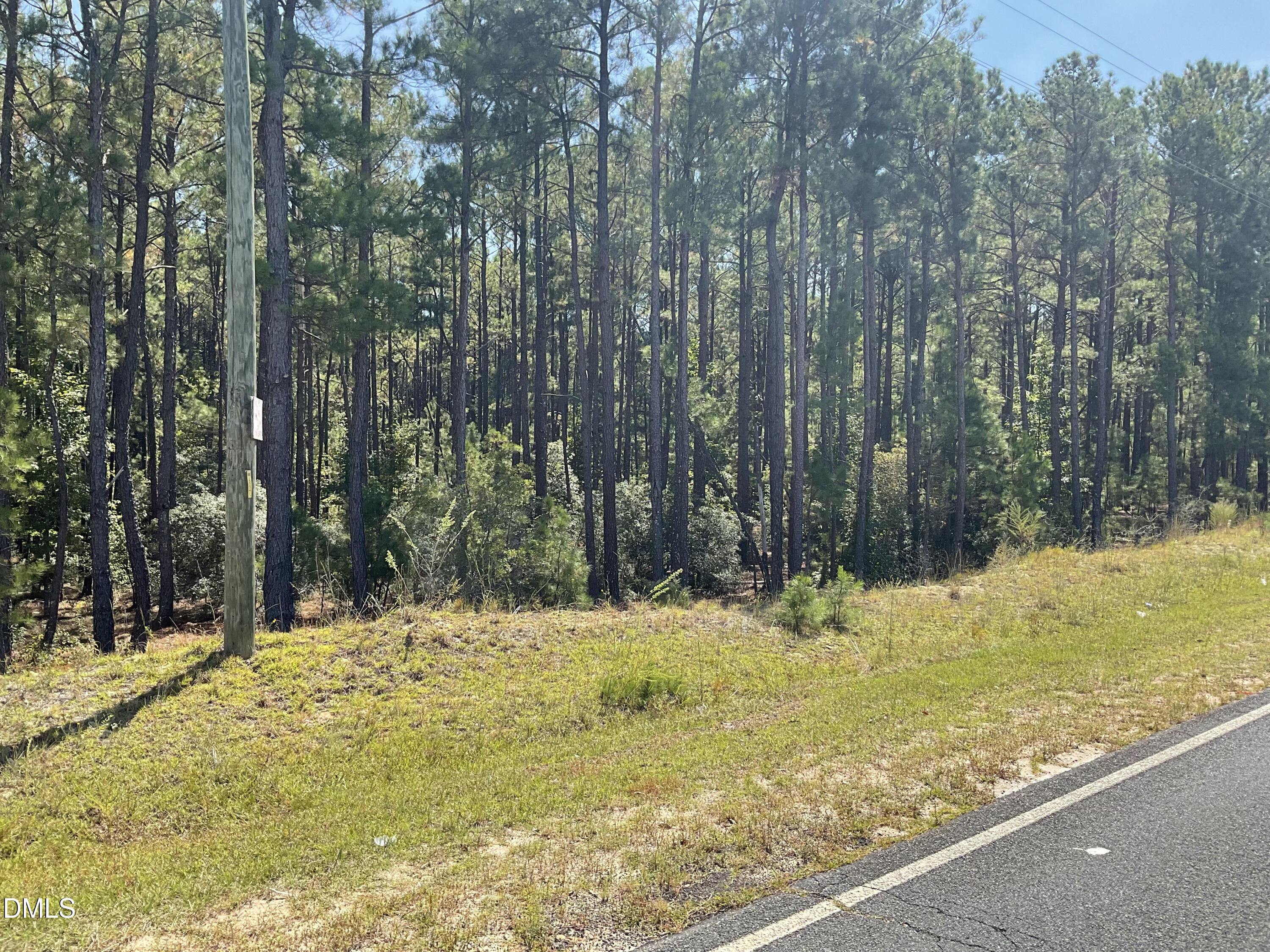 0 Sanderfer Road Bunnlevel, NC 28323 - Photo 7 of 9 a view of a yard with trees