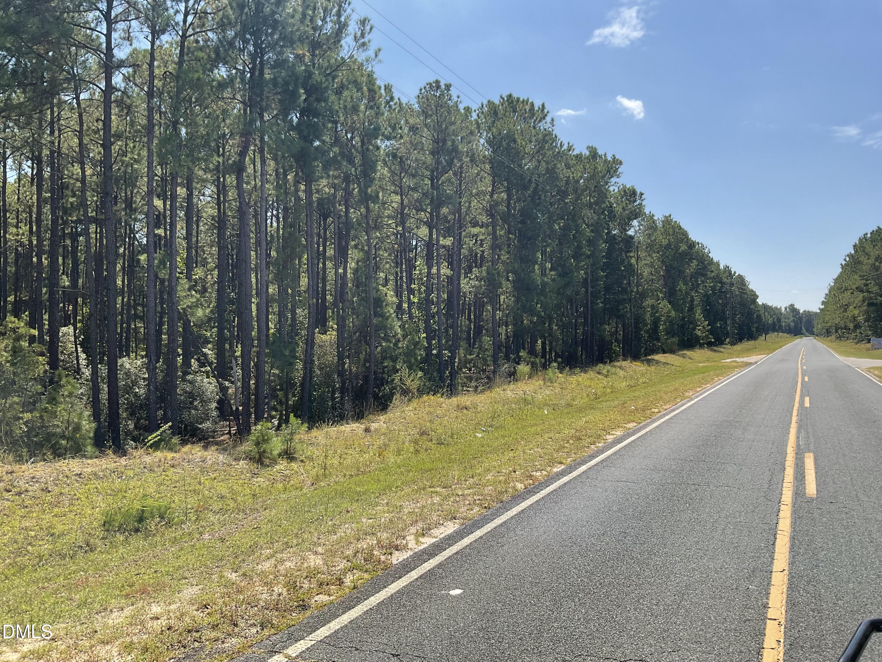 0 Sanderfer Road Bunnlevel, NC 28323 - Photo 8 of 9 a view of swimming pool with a yard