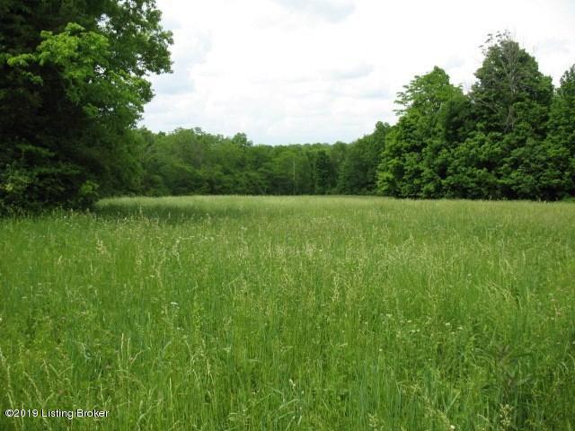 1801 Simpson Creek Road Bloomfield, KY 40008 - Photo 5 of 11 180424-5