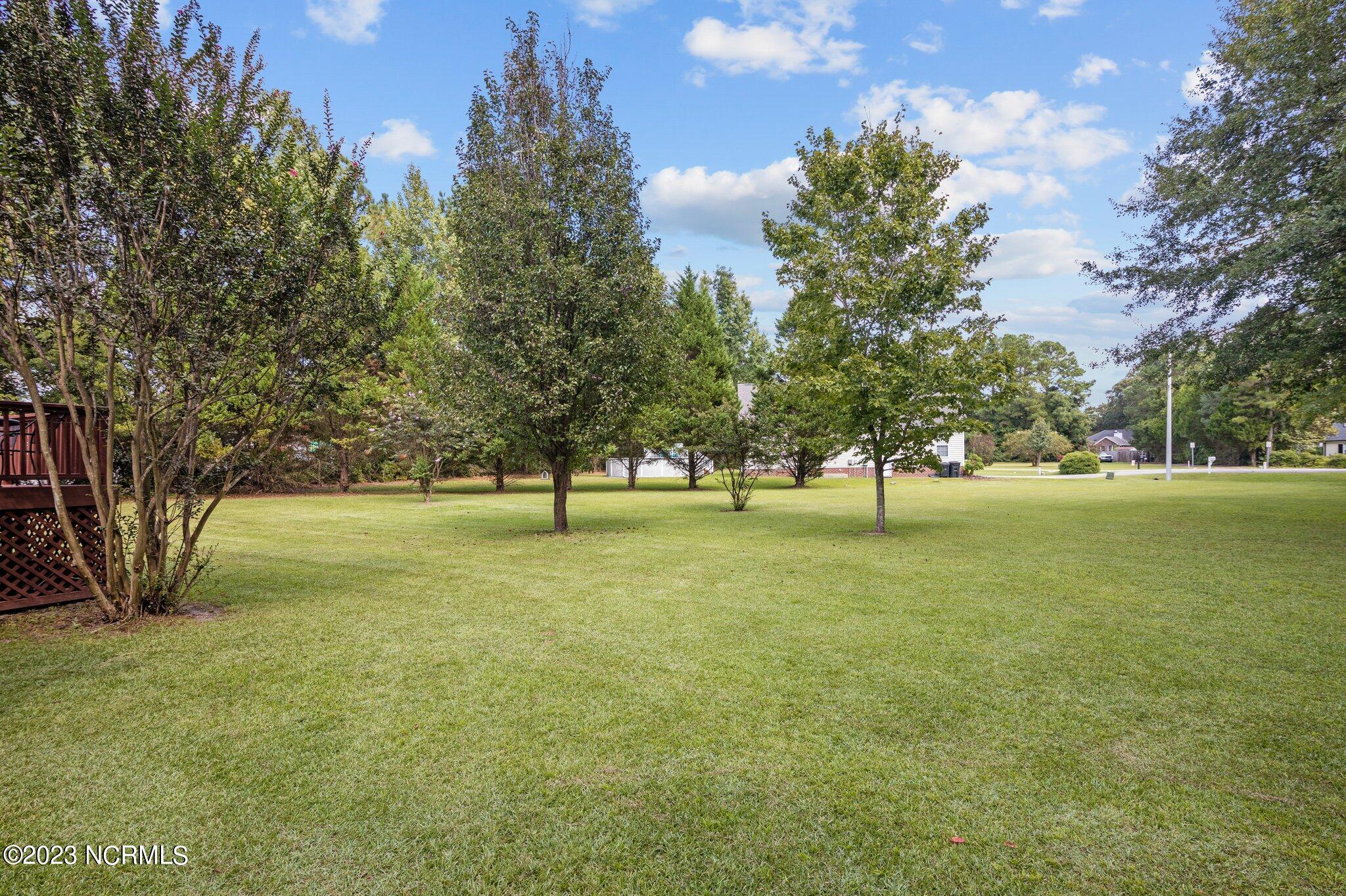 403 Pirates Road New Bern, NC 28562 - Photo 43 of 43 9-web-or-mls-2I3A0007