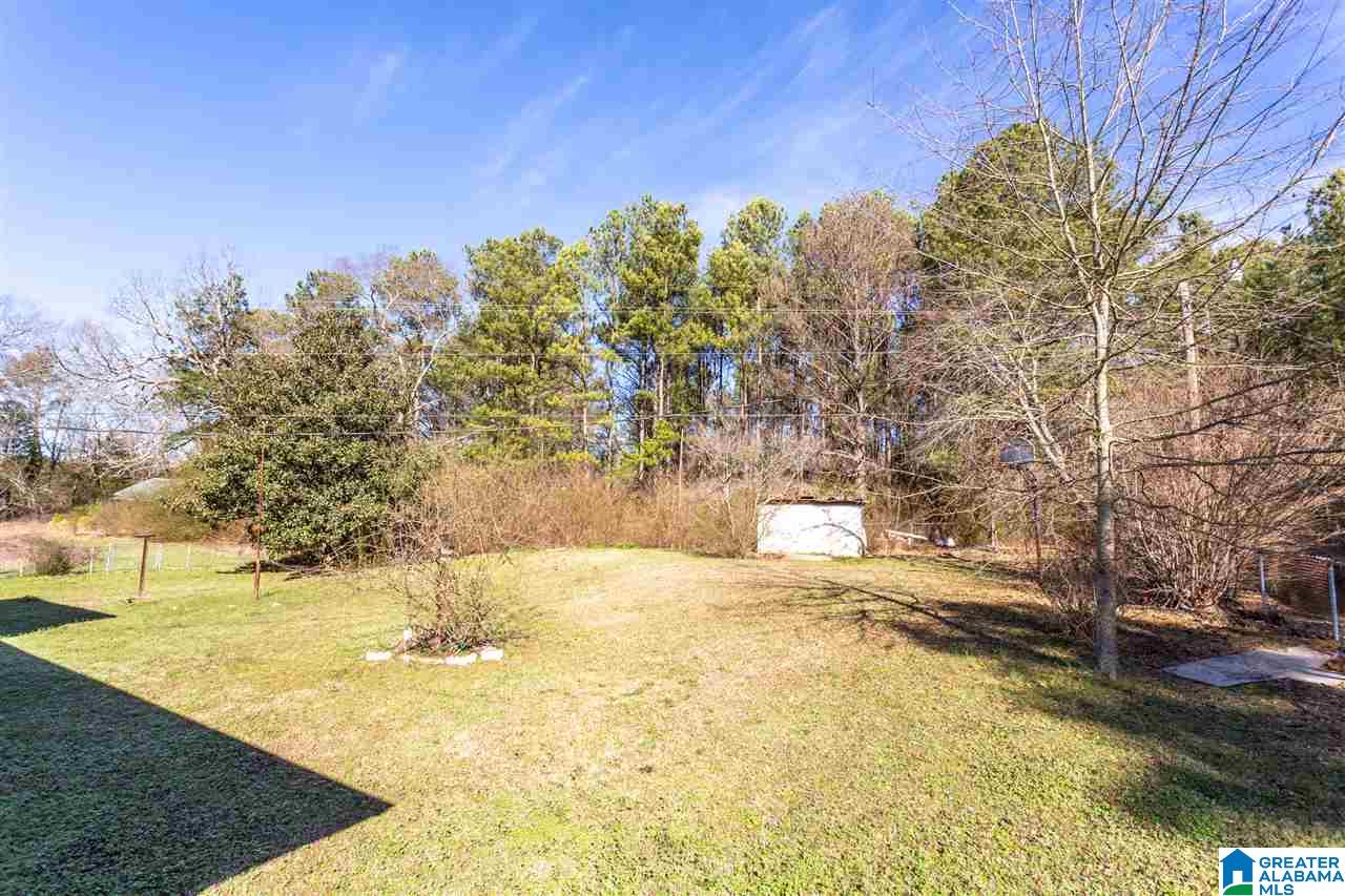 318 Cove Access Road Talladega, AL 35160 - Photo 47 of 48