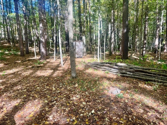 142 John Smith Road Pharsalia, NY 13844 - Photo 42 of 50 Gallery Image 42
