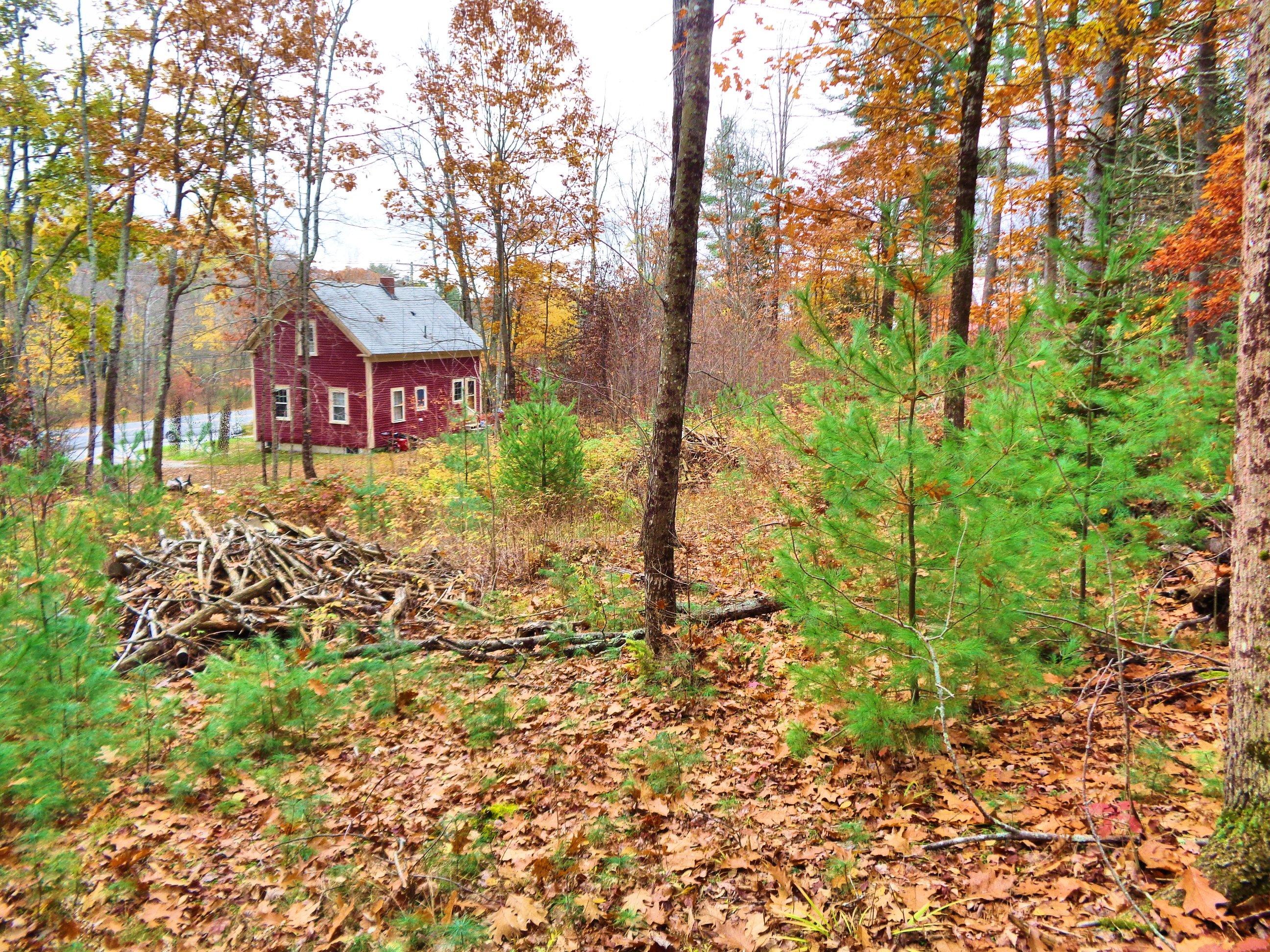 588 Cape Road Hollis Center, ME 04042 - Photo 7 of 39 DSC05429