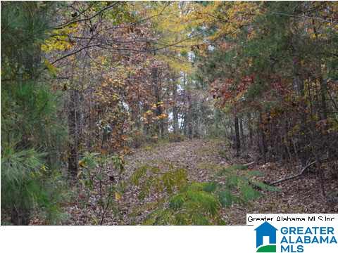 401 Old Settlement Road Oneonta, AL 35121 - Photo 25 of 28
