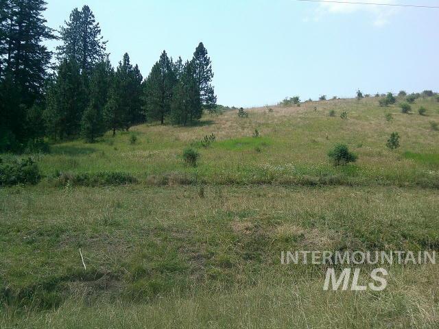 Tbd Johnson Road Kamiah, ID 83536 - Photo 1 of 1 Gallery Image 1