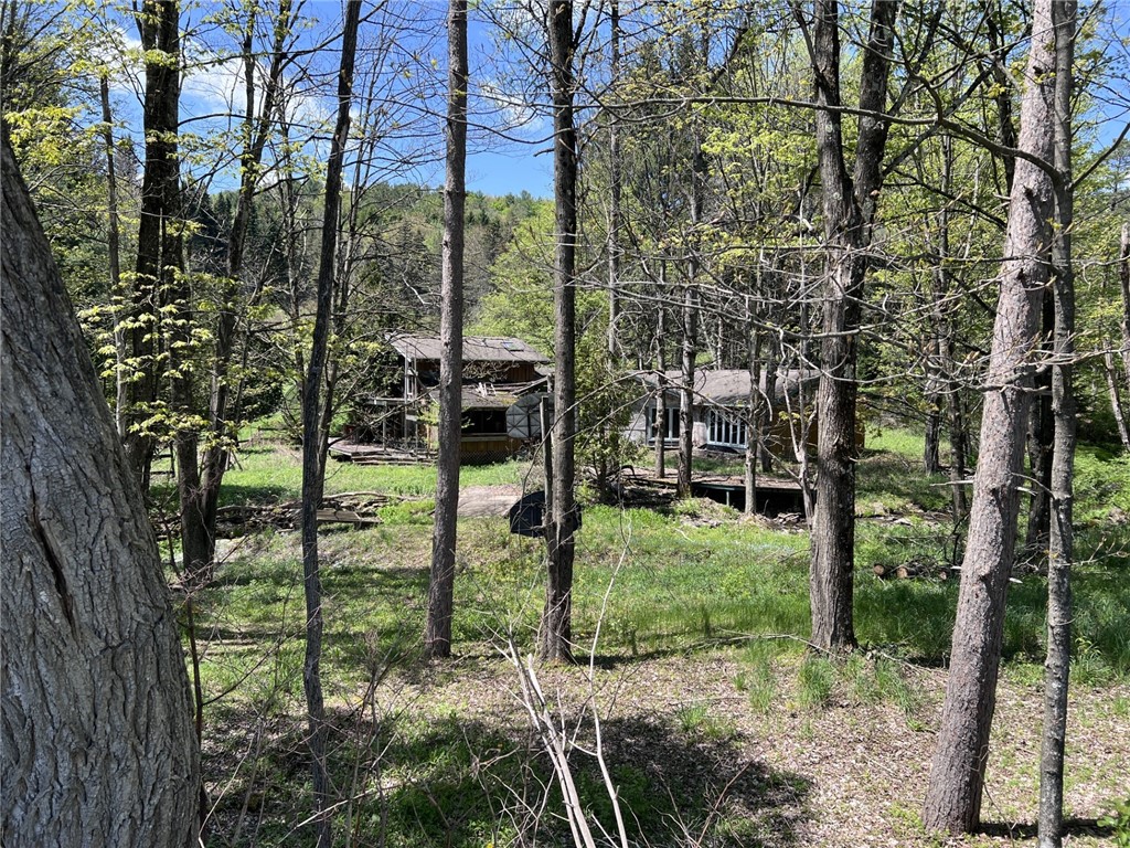 293 Lockwood Hill Road Mount Upton, NY 13809 - Photo 1 of 18
