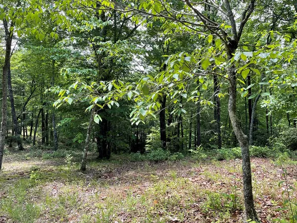 $35,000 | 4 Collett Woods Trail, Andrews, NC 28901