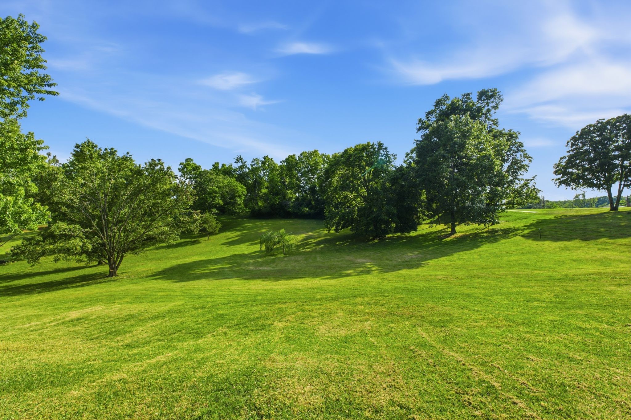 7207 Appleview Road Goodlettsville, TN 37072 - Photo 27 of 30