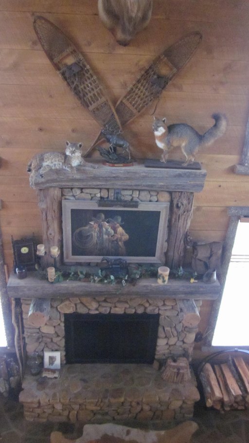 300 Buck Ridge Road Oneida, TN 37841 - Photo 16 of 39 Fireplace w/ custom mantle