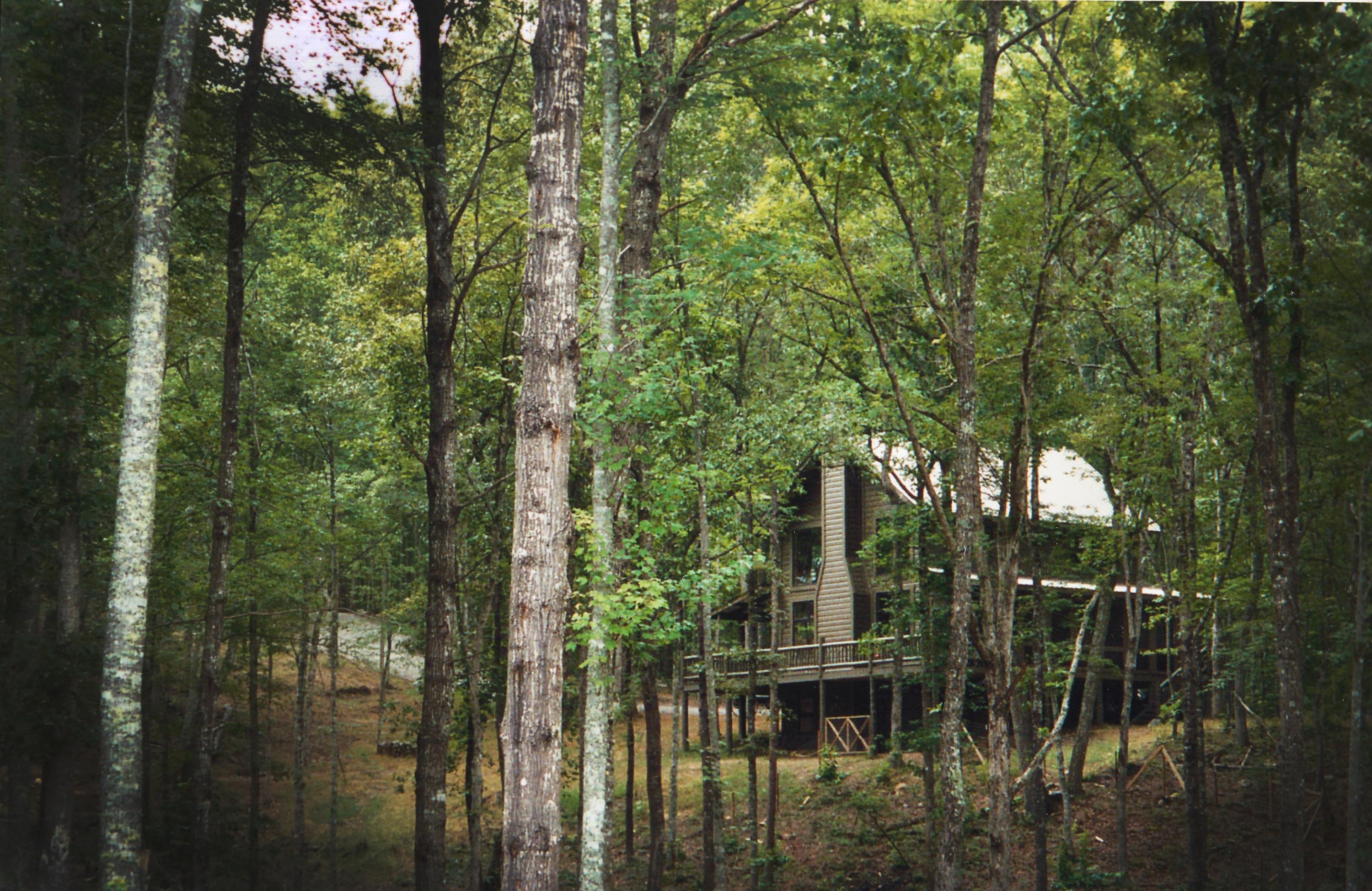 300 Buck Ridge Road Oneida, TN 37841 - Photo 3 of 39 Through the woods we go