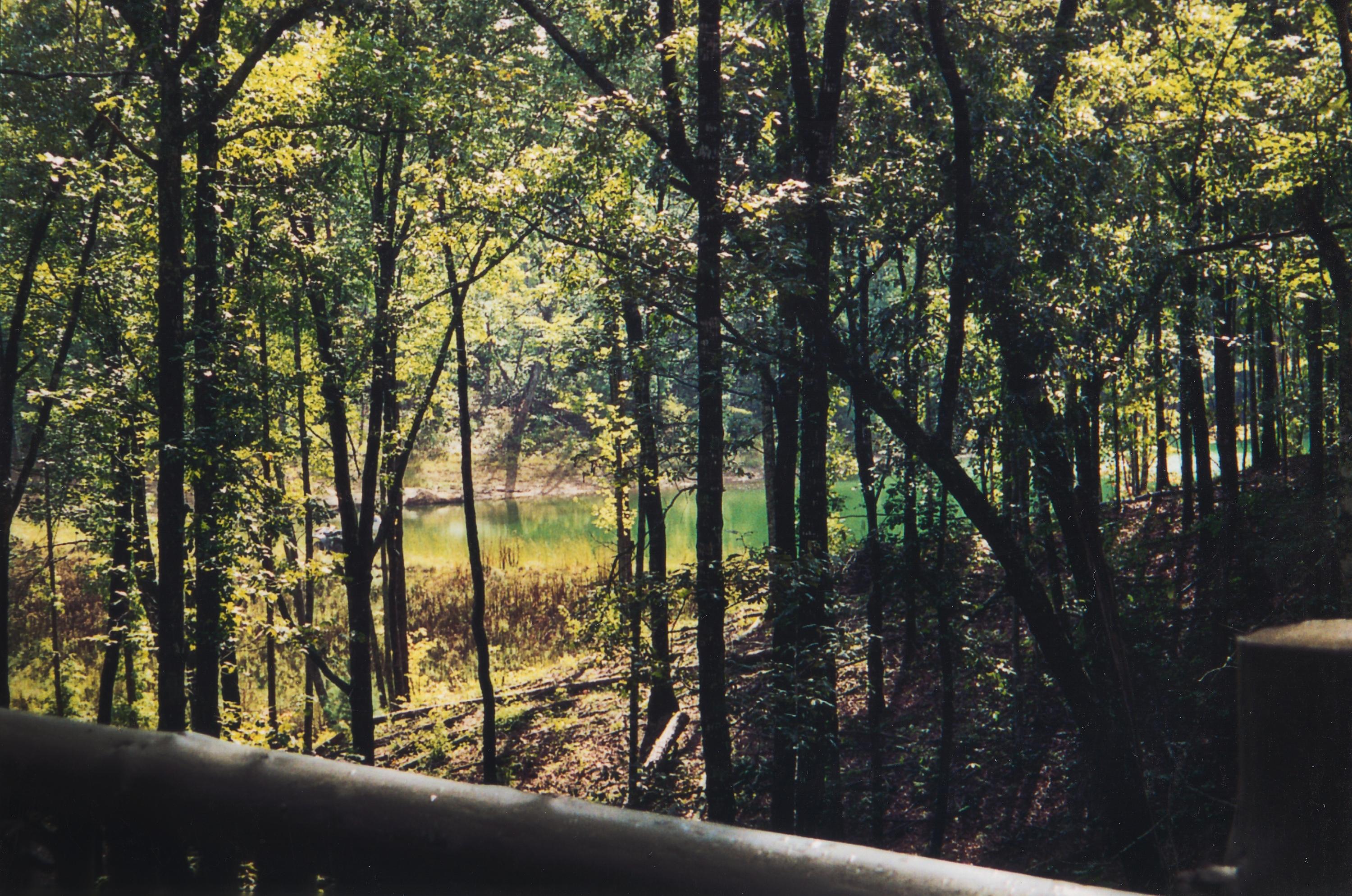 300 Buck Ridge Road Oneida, TN 37841 - Photo 35 of 39 Lake through the trees